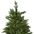 thumbnail image 5 of Northlight Real Touch™️ Pre-Lit Full Riverton Fir Artificial Christmas Tree - 7.5' - Candlelight, 5 of 9