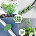 thumbnail image 5 of Clips para plantas de fijación de plantas trepadoras, clips de fijación de soporte autoadhesivos para decoración del hogar, plantas trepadoras, 50 unidades, 5 of 5