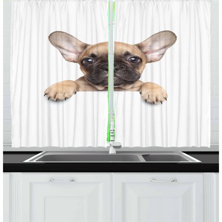 Bulldog Curtains 2 Panels Set, Pedigreed Young Puppy Close-up Photo Best Friend Pet Lover Print, Window Drapes for Living Room Bedroom, 55W X 39L Inches, Sand Brown Black and White, by (Best Treatment For Parvo In Puppies)