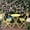 Yellow, variant on 3-Piece Foldable Patio Bistro Set, Outdoor Round Table with 2 Chairs, Space-Saving Garden Furniture