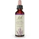 thumbnail image 1 of Bach Flower Essences Heather | Brezo 20 ml (0,7 oz. líq.), 1 of 6