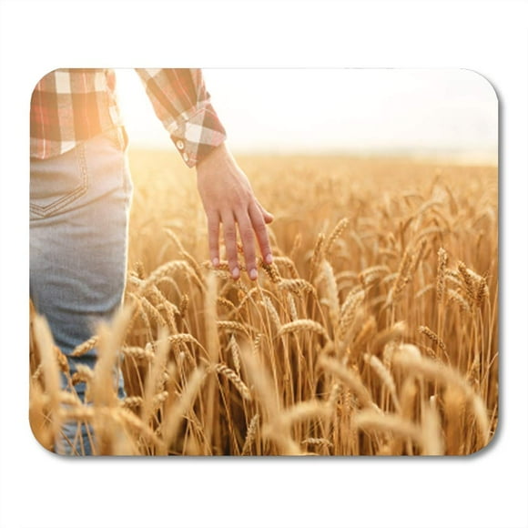 POGLIP Farmer Touching His Crop Hand in Golden Wheat Field Mousepad Mouse Pad Mouse Mat 9x10 inch