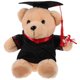 thumbnail image 1 of KAKOWELY Oso de peluche de graduación, adorable oso de peluche, juguete de dibujos animados, oso de peluche, regalo, 1 of 4