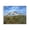 Southwestern Farmhouse Longhorns Pasture, variant on Stupell Industries Farmhouse Various Cattle Sunny Farmland Field Gold Floating Frame Canvas Art, 21 x 17, by Rita Kirkman