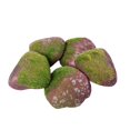 thumbnail image 3 of 5 piezas de rocas artificiales falsas para paisajismo, rocas artificiales decorativas para E, 3 of 8