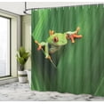 thumbnail image 5 of Ambesonne Green Shower Curtain, Exotic Wild Macro Leaf, 69"Wx84"L, Green, 5 of 5