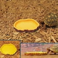 thumbnail image 2 of 2Pcs Reptile Feeding Bowls Simulation Stump Ring Design Easy to Clean Lizard Drinking Waterer Climbing Pet Drinking Tray, 2 of 7