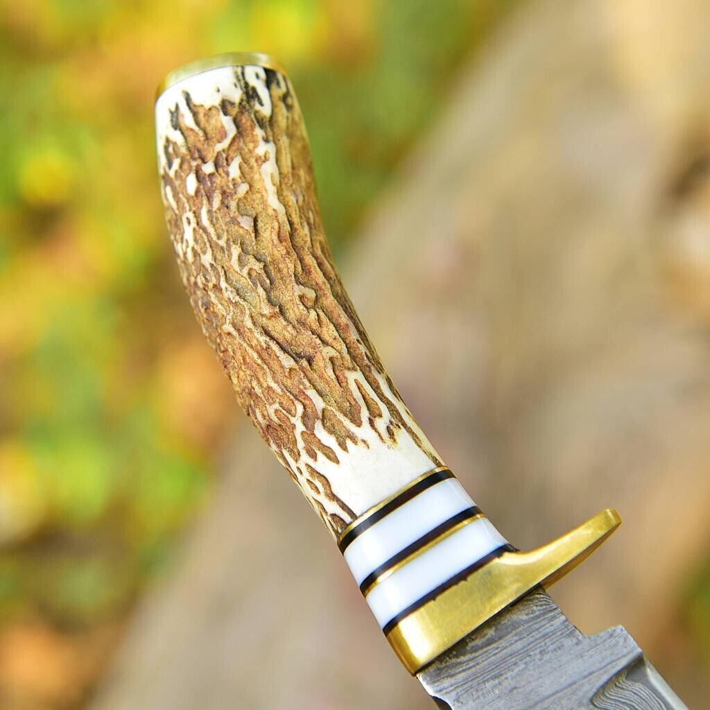 Custom Handmade Damascus Steel Fixed Blade Knife Stag Antler Handle Brass Guard