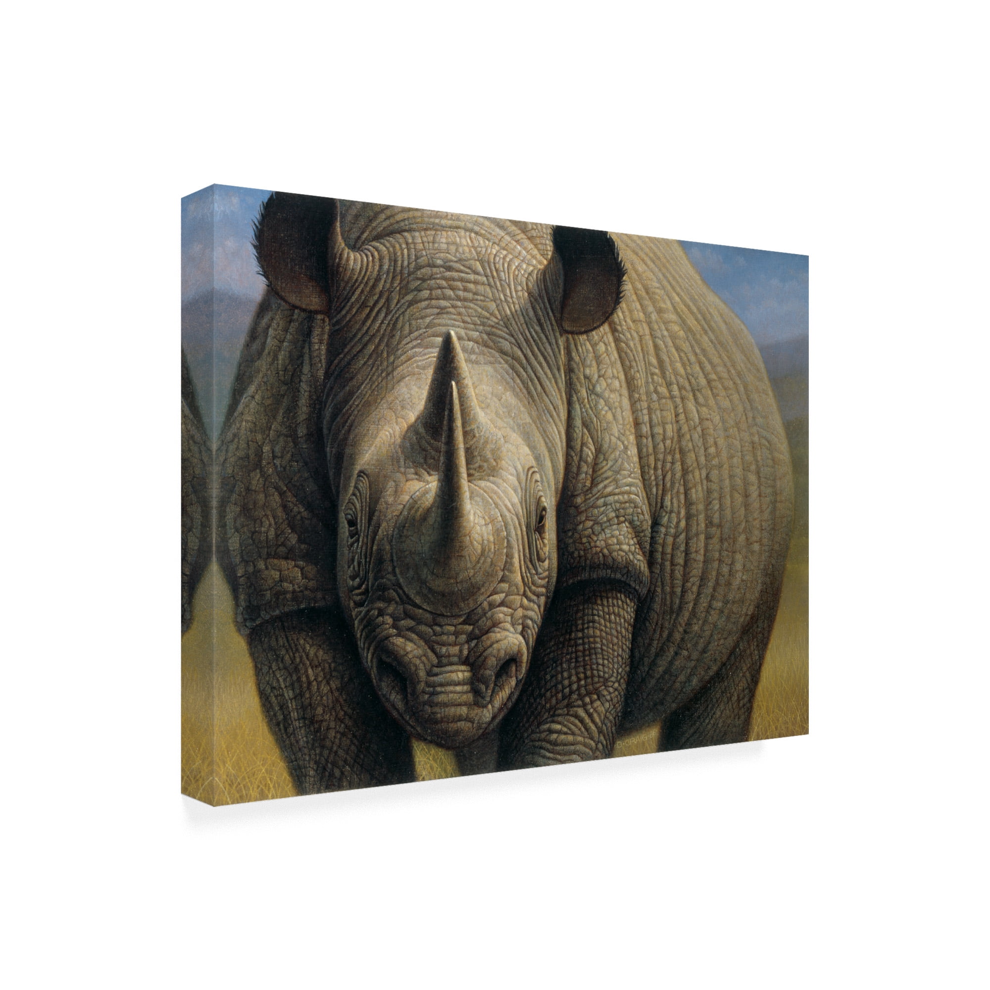 Trademark Fine Art 'Rhinos Portrait' Canvas Art by Dan Craig