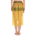thumbnail image 2 of Haitryli Womens Belly Dance Skirt Fringed Hip Scarf Colorful Waistband Tiered Sequin Tassel Waist Chain Gold One Size, 2 of 7