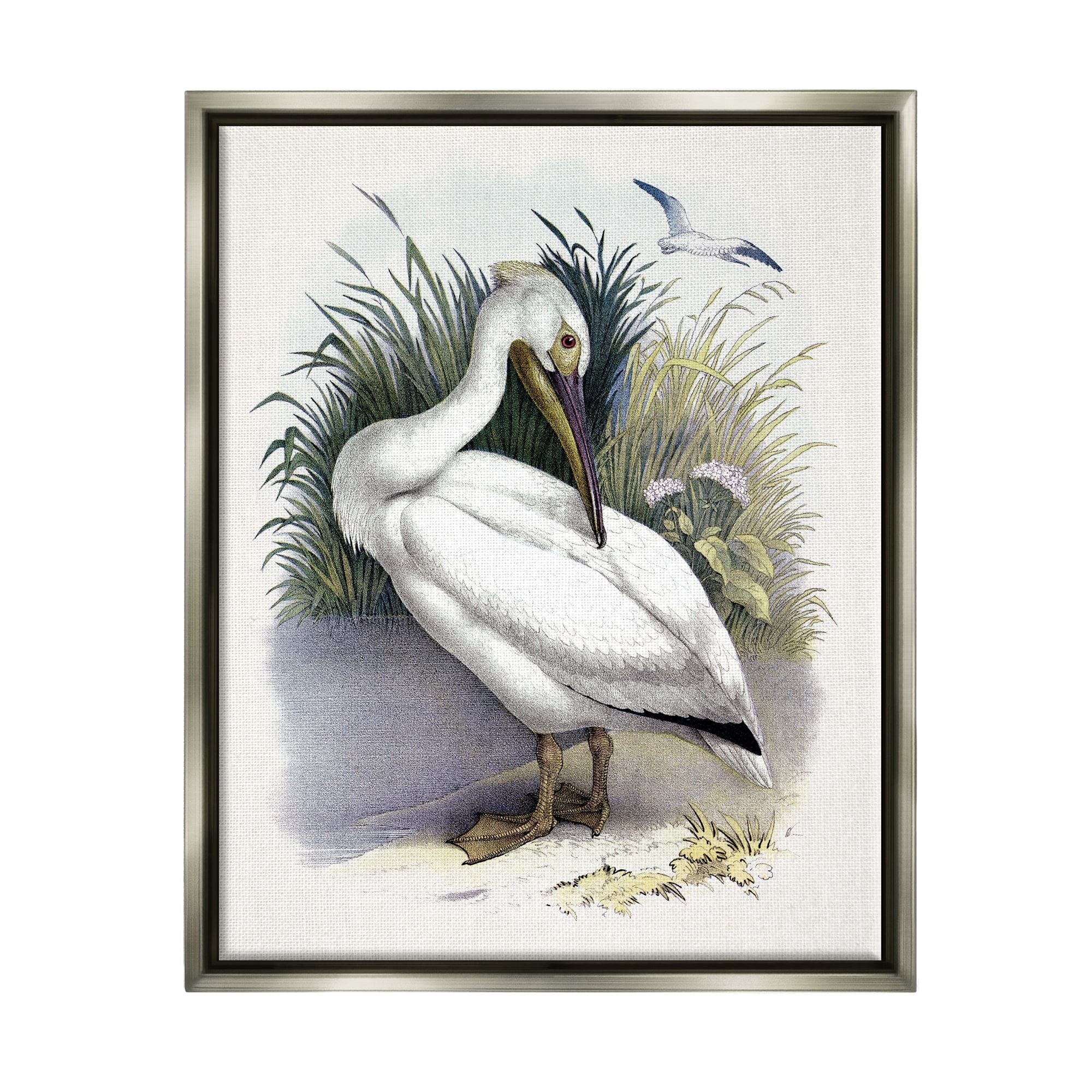Stupell Industries White Pelican Bird Preening Grassy Riverbank Shore Painting Luster Gray Floating Framed Canvas Print Wall Art, Design by Piddix