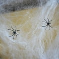 thumbnail image 3 of Family Holiday Halloween Webs, Webbing,Cobwebs & Spiderweb with Spiders Decorations (Pack of 4), 3 of 7