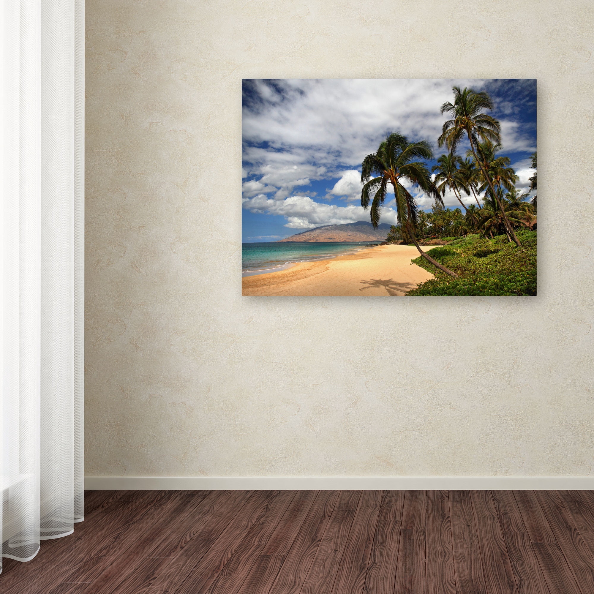 Trademark Fine Art "Kamaole Tropical" Canvas Art by Pierre Leclerc