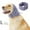 Purple 1B3, variant on ZZkhGO Calming Hoodie for Dogs, Anxiety Relief Hood for Pets, Warm Noise Reducing Hoodie for Small Medium Large Dogs