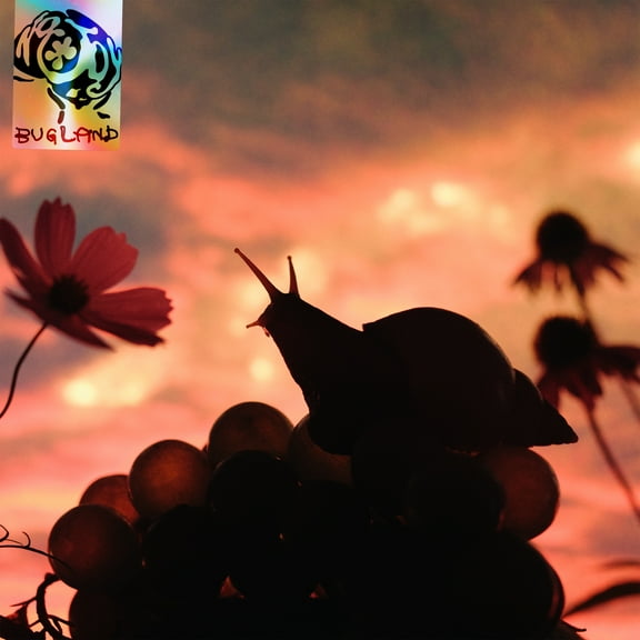 No Joy - Bugland - Music & Performance - Vinyl