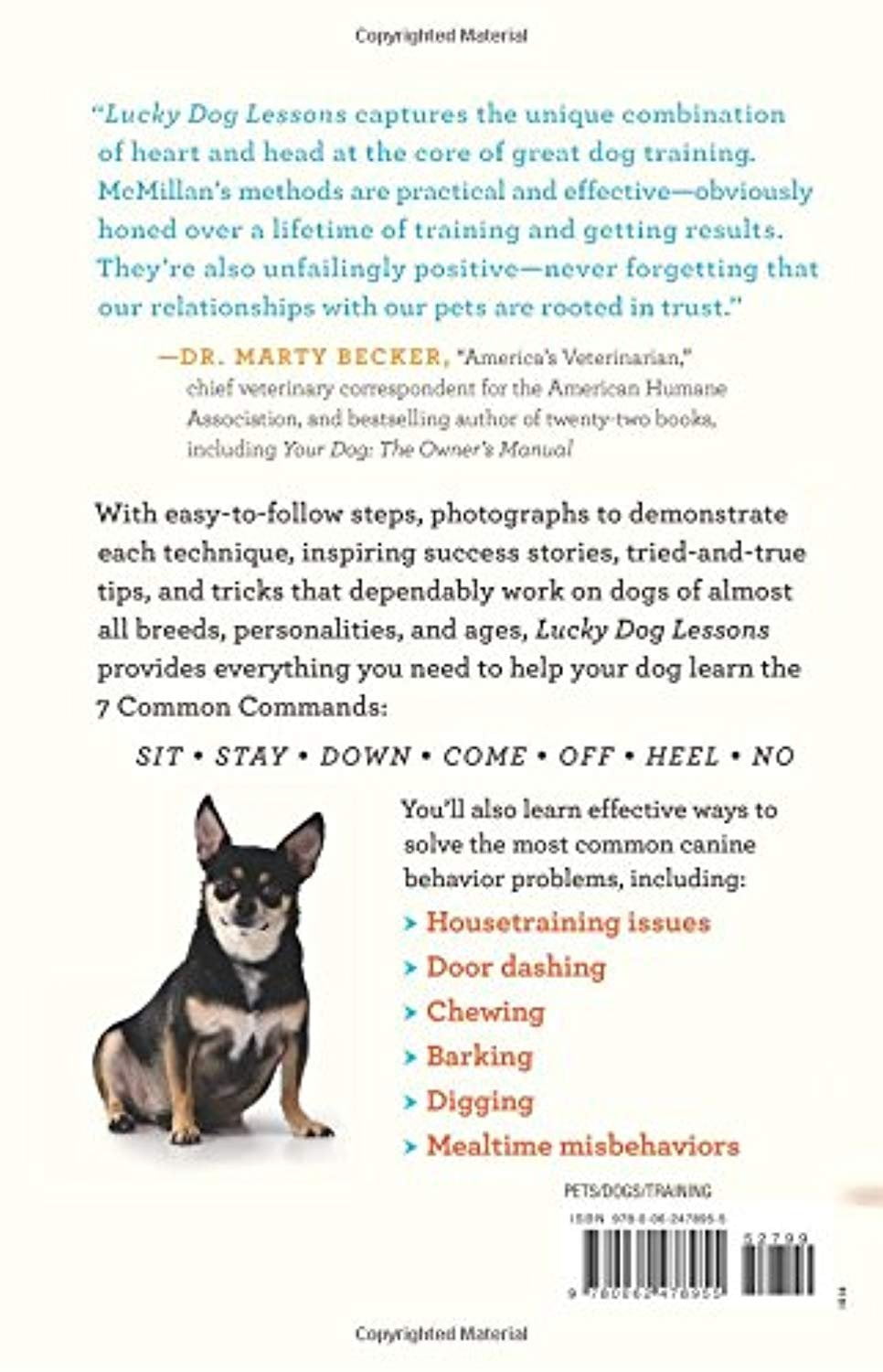 what-are-the-7-common-dog-commands