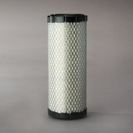 - Donaldson P821575 Air Filter, Primary (Pack of 2)