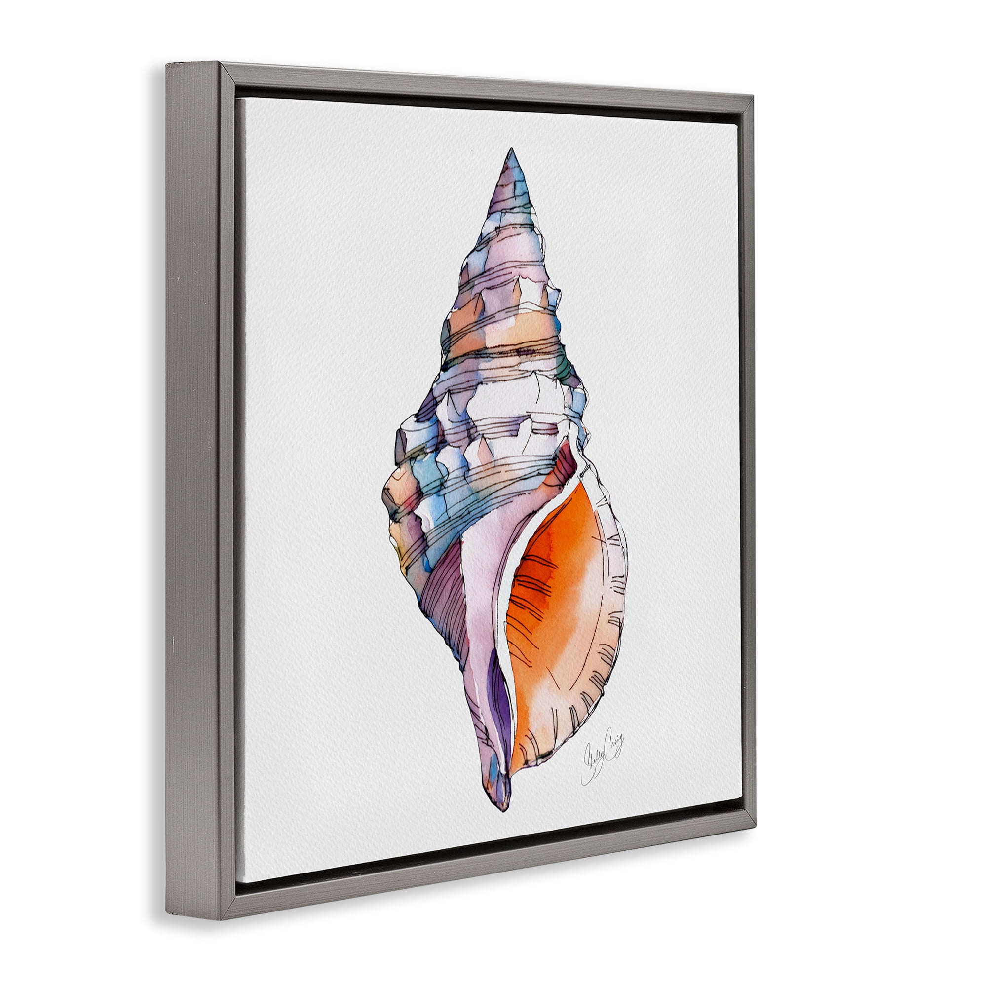 Stupell Industries Sunrise Conch Shell Gray Framed Floater Canvas Wall Art, design by Shelly Craig