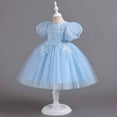 thumbnail image 5 of Odeerbi Toddler Dress Kids Girls Princess Dresses Tulle Dress Middle-aged Children's Sleeveless Embroidery Mesh Gauze Dress Blue, 5 of 9