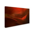 thumbnail image 2 of Heidi Westum 'The Red Valley' Canvas Art, 2 of 3