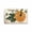 C, variant on WYBXZ Thanksgiving Fall Bath Mat Style C, Super Absorbent Microfiber Non-Slip Bathroom Rug with Pumpkin Pattern, 15.75x23.62 Inch