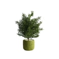 thumbnail image 2 of Plantas artificiales realistas para la decoración del hogar - Plantas artificiales en maceta para escritorios de oficina, salón y espacios interiores, 2 of 6