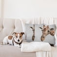 thumbnail image 4 of Ambesonne Animal Throw Pillow Cover 2 Pack, Savannah Wildlife Giraffe, 20", Brown and Grey, 4 of 7