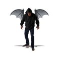 thumbnail image 3 of Accessoire Wicked Wings, 3 of 3
