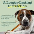 thumbnail image 2 of Bully Sticks Dog Treats - Long-Lasting Chew Sticks for Dogs - Made with -Range Grass-Fed Beef - 12 Inch Sticks - 5 Pack, 2 of 6