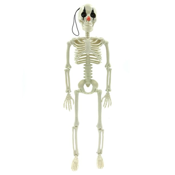 Esqueleto colgante de Halloween mayimx 16 pulgadas Nariz negra