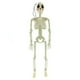 thumbnail image 1 of Esqueleto colgante de Halloween mayimx 16 pulgadas Nariz negra, 1 of 9