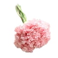 thumbnail image 1 of Bearachild Clavel de flor de seda Artificial, 6 cabezas/ramo para fiesta de boda, clavel de flor de seda Artificial, decoración del hogar Kits de decoración para fiestas No.05, 1 of 5