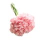 thumbnail image 2 of Yuarrent Clavel de flor de seda artificial, 6 cabezas/ramo para decoración del hogar, fiesta de boda, flor de seda artificial Kits de decoración para fiestas No.05, 2 of 6
