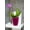 Purple, variant on DecoPots - Self Watering Orchids Pot 5.5 inch - Wicking Pot for Flowers - Drainage and Water Level Indicator - Plant Planter 5.5", Lavender