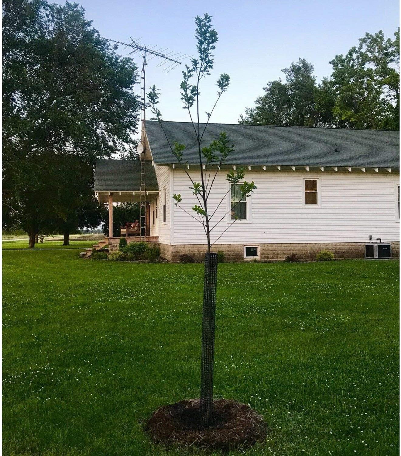 Mesh Tree Protector 36 Inches Tall (5 Pack) Standard Weight with Zip Ties