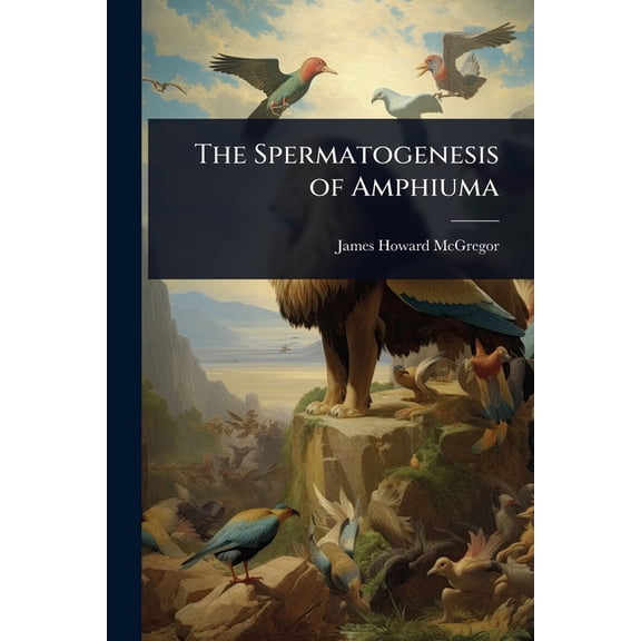 The Spermatogenesis of Amphiuma, (Paperback)