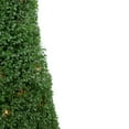 thumbnail image 4 of Northlight Pre-Lit Artificial Boxwood Cone Topiary Tree in Round Pot - 4' - Clear Lights, 4 of 6