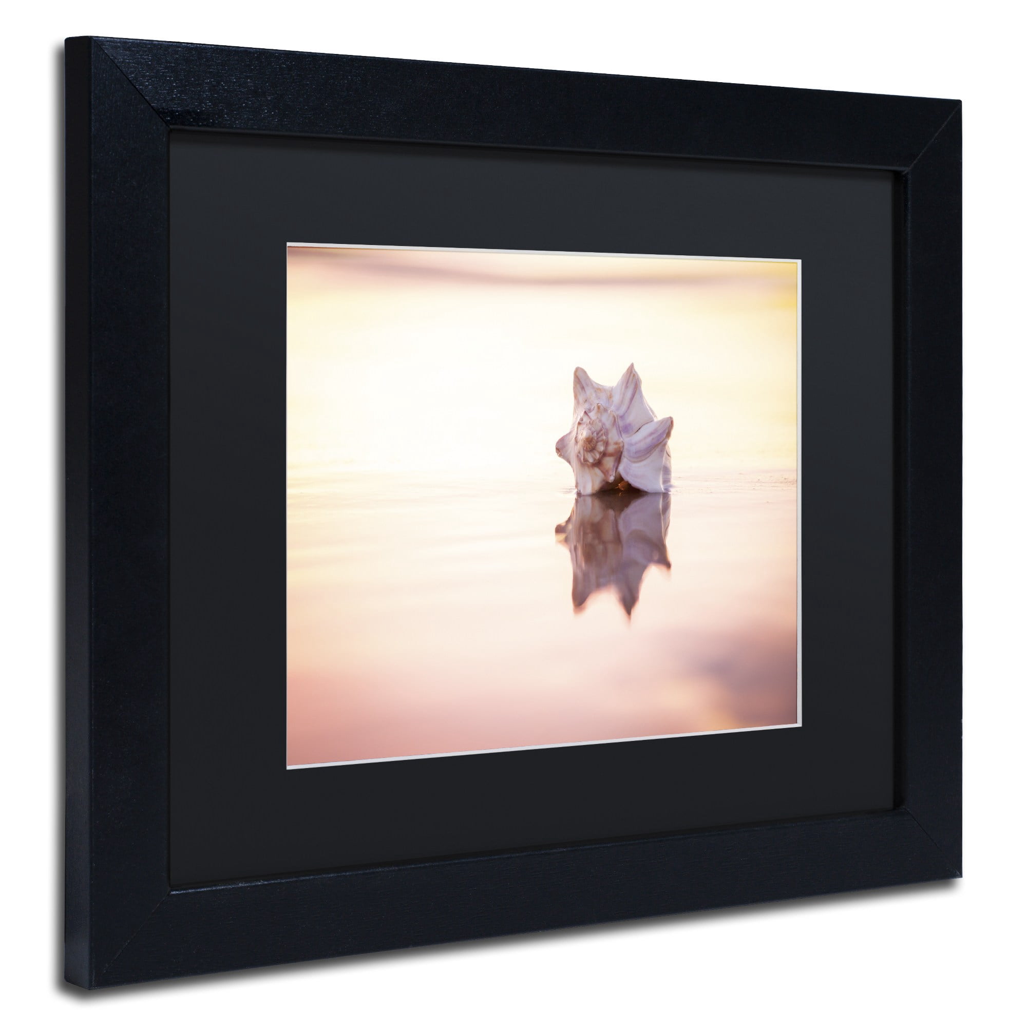 Chris Moyer 'King of the Beach' Black Matted Framed Art