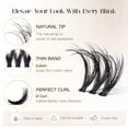 thumbnail image 3 of Eyelash Clusters BEFER Lash, 108 unidades, rizo 3D de 10 a 16 mm, 3 of 6
