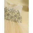 thumbnail image 6 of Suealasg Little Girls Ball Gown Princess Dress 6M 1T 2T 3T 4T 5T Kids Girls Sleeveless Crew Neck Flower Layered Tulle A-line Dress Child Girls Evening Formal Party Dress, 6 of 8