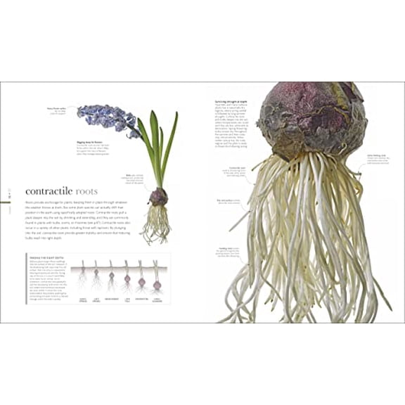 Pre-Owned The Science of Plants: Inside Their Secret World Paperback