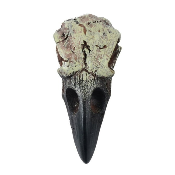 CIYISON Gothics Crow Skull Necklace Dark Series Novelty Skeleton Necklace Women Gift