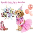 thumbnail image 3 of Dog Birthday Party Supplies, Dog Birthday Suit, Puppy Dog Pals Birthday Party Decorations, Dog Birthday Bandana Girl with Dog Birthday Hat Tutu Skirt, 3 of 6