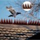 thumbnail image 1 of Anti Bird Pigeon Cat Anti-theft Repelling Spikes Fence Deterrent Plastic Wall Spike, 1 of 5