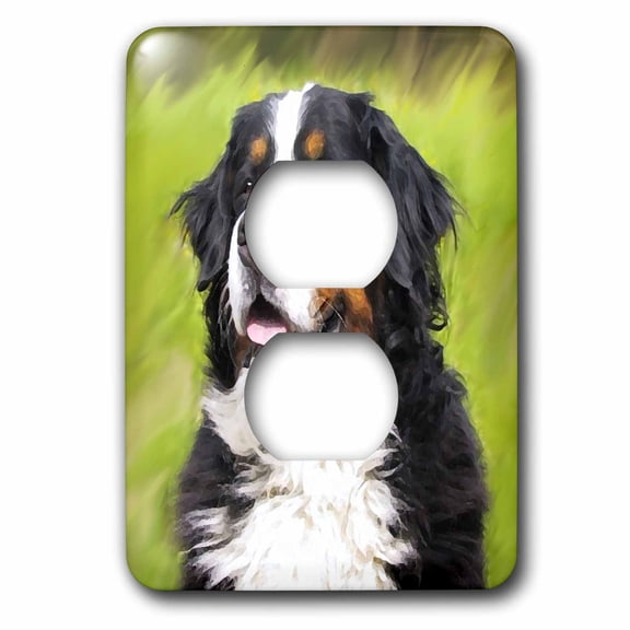 3dRose, Bernese Mountain Dog, 2 plug outlet cover