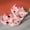 Pink, variant on dgysar Boys Girls Cartoon Slippers Cute Non-slip Soft Sole Indoor Home Slippers for Boys Girls Bedroom Bathroom Daily Leisure Use Gray 40-41