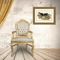 thumbnail image 3 of Gould, John 14x11 Gold Ornate Wood Framed with Double Matting Museum Art Print Titled - Noddy Tern-Anous Stolidus, 3 of 4