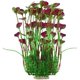 thumbnail image 5 of Plantas de Acuario Grandes Plantas de pecera de plástico Artificial Adorno de decoración para Peces Rojo ER, 5 of 5
