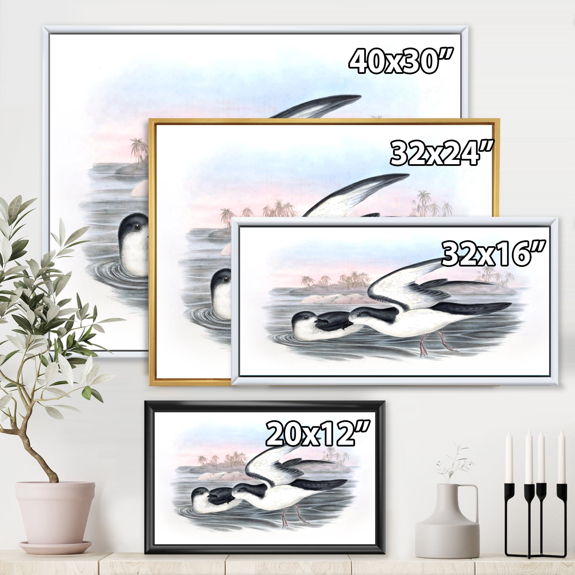 Ancient Australian Birds X 32 in x 16 in Framed Painting Canvas Art Print, by Designart