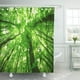 thumbnail image 1 of Cortina de ducha ABPHQTO Hermoso bosque verde en día soleado 165x180 cm, 1 of 2